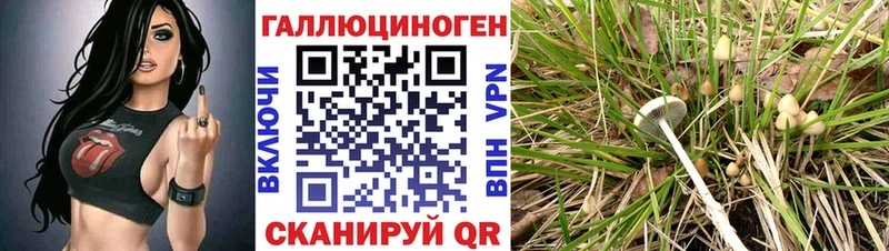 Галлюциногенные грибы мухоморы  Барыш 