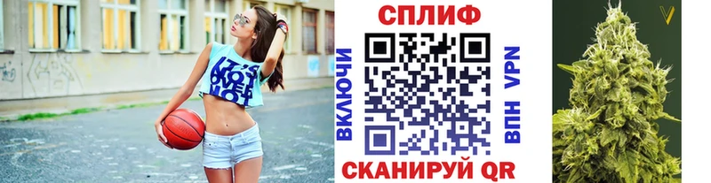 Конопля SATIVA & INDICA  Барыш 